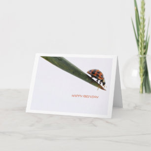 Happy Birthday Card Ladybird Karte