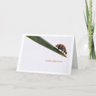 Happy Birthday Card Ladybird Karte