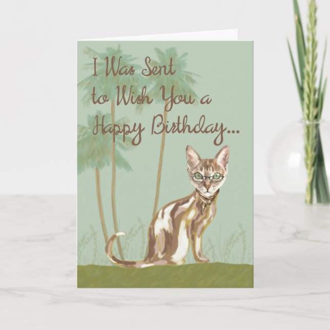Happy Birthday Card mit Cat, Humorvoll Karte (Vorderseite)