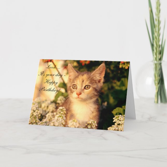 Happy Birthday Card mit Kitten Karte (Vorderseite)