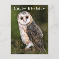 Happy Birthday Card mit Western Barn Owl