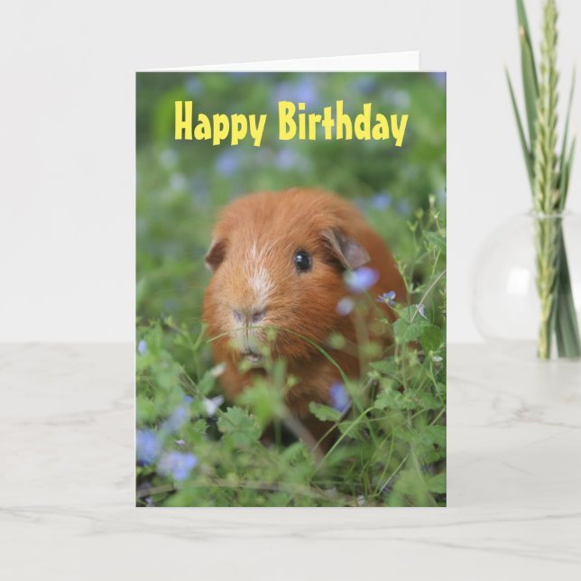 Happy Birthday Card niedlich Ingwer Guinea Schwein Karte (Vorderseite)