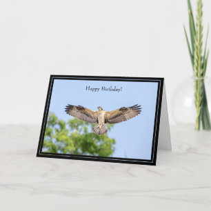 Happy Birthday Card Osprey Karte