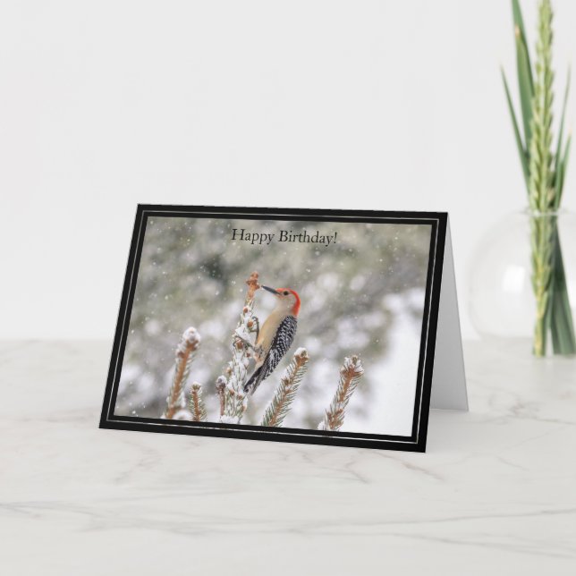 Happy Birthday Card Red-Bellied Woodpecker Karte (Vorderseite)