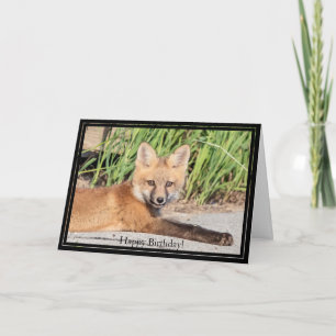 Happy Birthday Card Red Fox Kit Karte