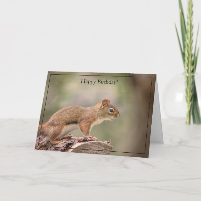 Happy Birthday Card Red Squirrel Karte (Vorderseite)