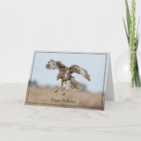 Happy Birthday Card Rot-Schwanz-Hawk