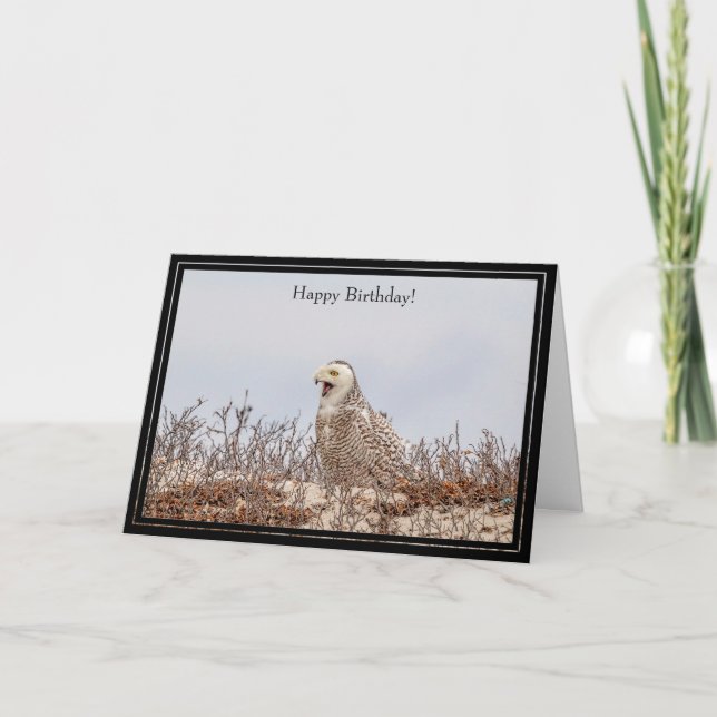 Happy Birthday Card Snowy Owl Karte (Vorderseite)