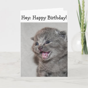 Happy Birthday Card: Überraschender grauer Kitten Karte