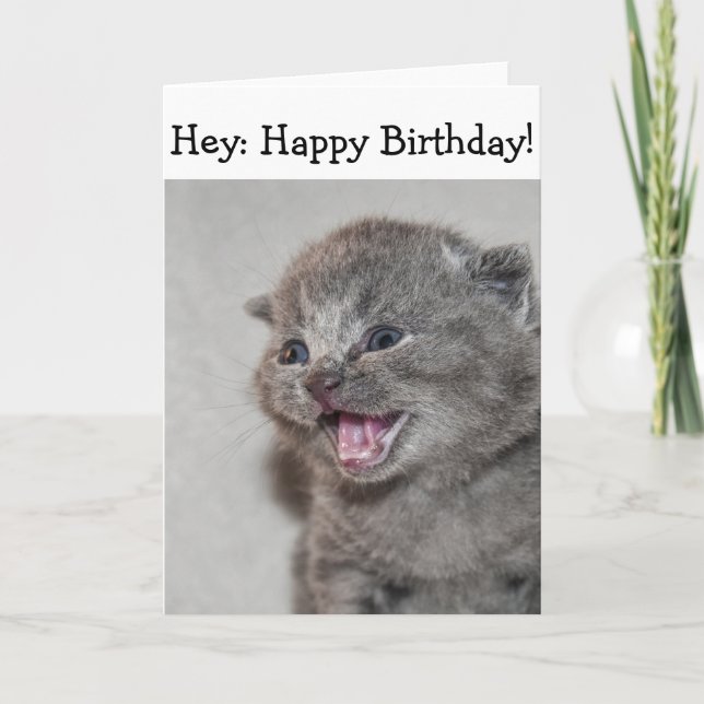 Happy Birthday Card: Überraschendes graues Kitten Karte (Vorderseite)