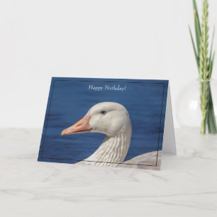 Happy Birthday Card White Goose Karte