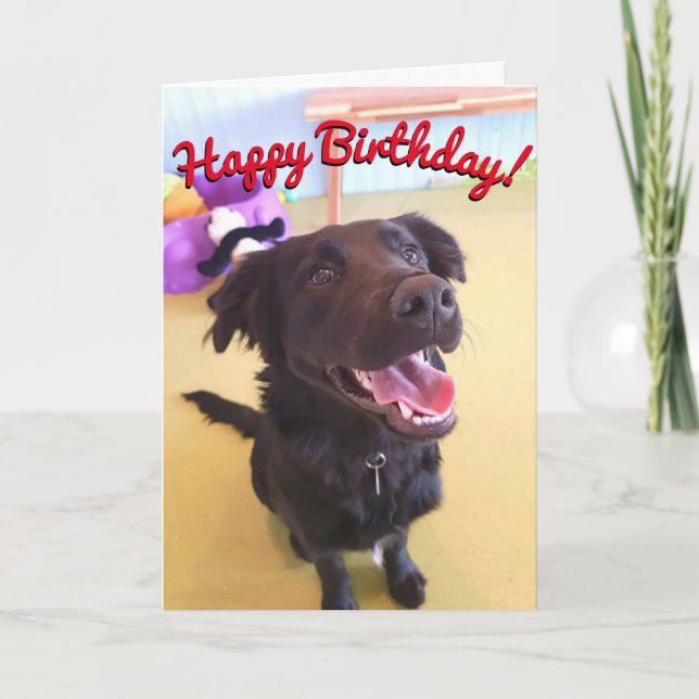 Happy Birthday Card Wird The Happy Boy Karte (Vorderseite)