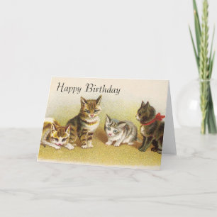 Happy Birthday Cards - Kittys Karte