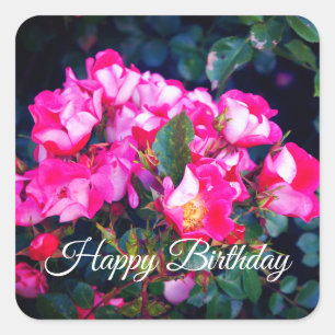 Happy Birthday Carefree Spirit Rose #1 Stickers