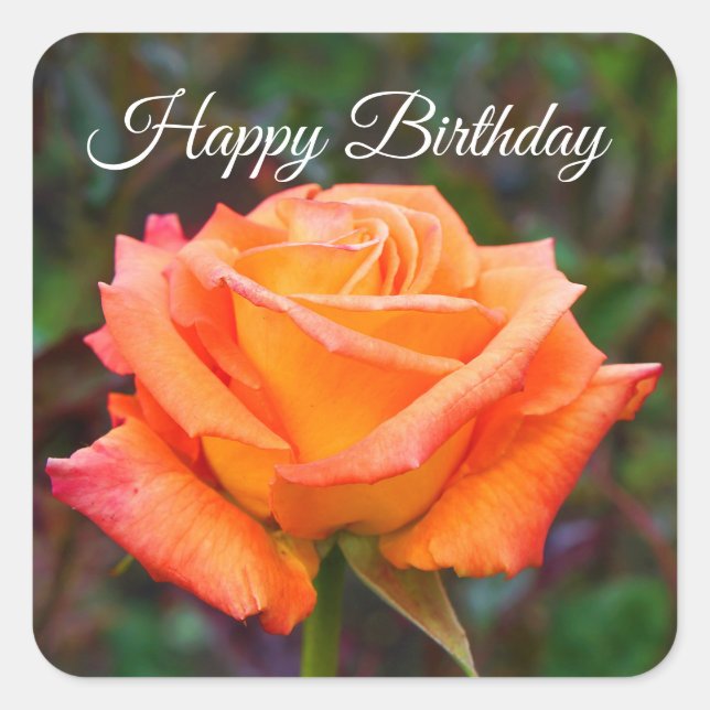 Happy Birthday Caribbean Rose #2 Stickers (Vorderseite)