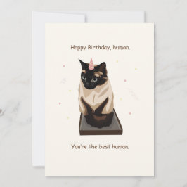 Happy Birthday Cat Card Ankündigung