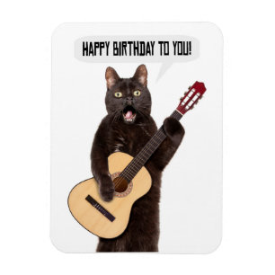 Happy Birthday Cat Gesang und Spiel Gitarre Holi Magnet