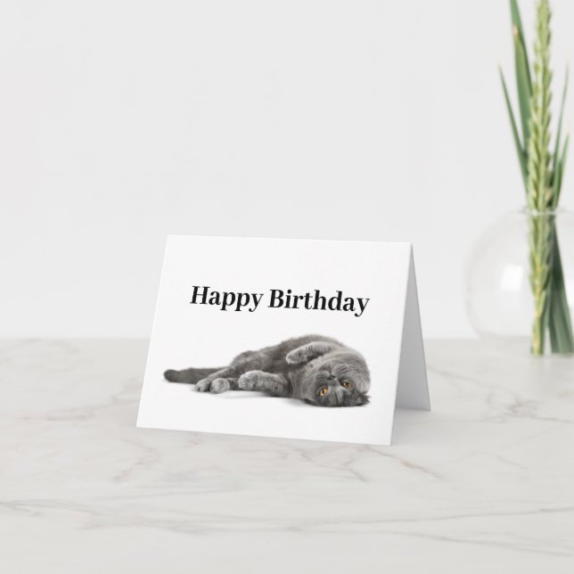 Happy Birthday Cat Lover Card Karte (Vorderseite)