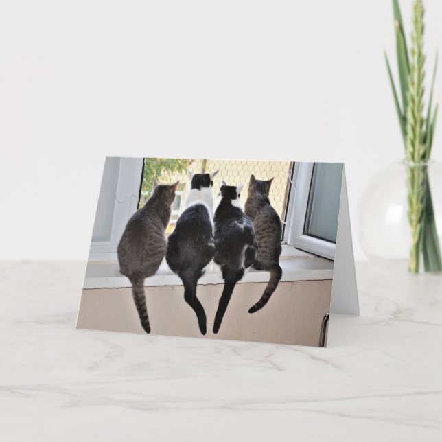 Happy Birthday Cat Lover Card Karte (Vorderseite)