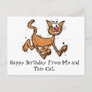 Happy Birthday Cat Postkarte