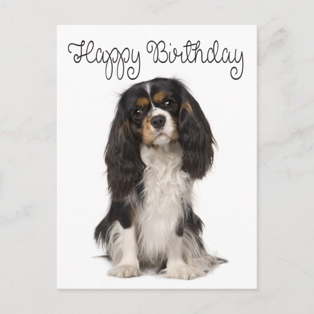 Happy Birthday Cavalier King Charles Spaniel Postkarte (Vorderseite)