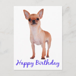 Happy Birthday Chihuahua Puppy Blue - Verse Postkarte