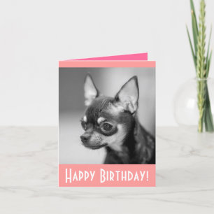 Happy Birthday Chihuahua Puppy Dog Grußkarte Karte