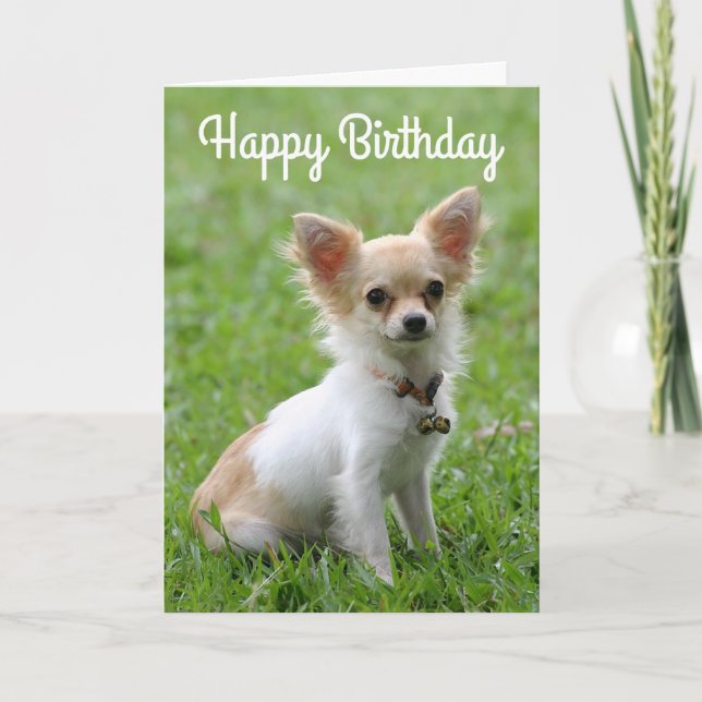 Happy Birthday Chihuahua Puppy Dog Grußkarte Karte (Vorderseite)