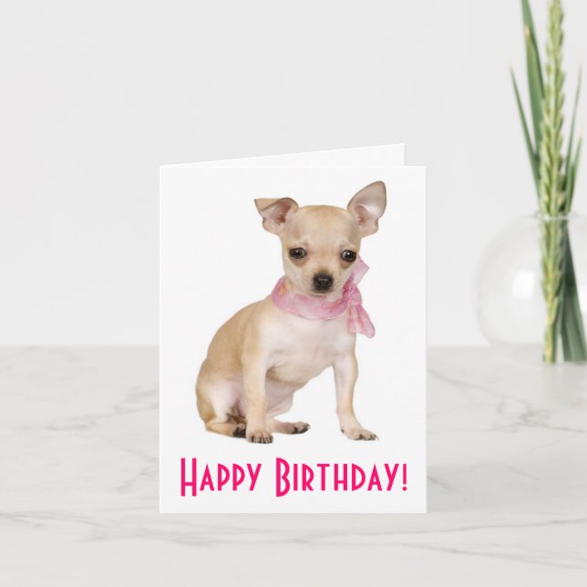Happy Birthday Chihuahua Puppy Dog Grußkarte Karte (Vorderseite)