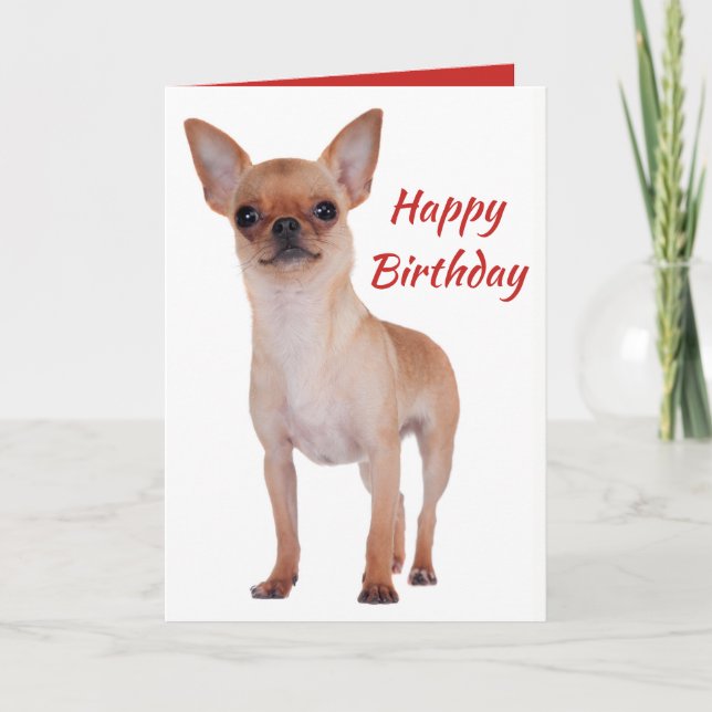 Happy Birthday Chihuahua Puppy Dog Puppies Dogs Karte (Vorderseite)