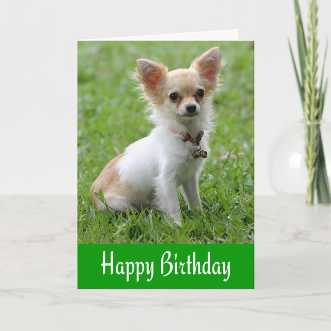 Happy Birthday Chihuahua Puppy Green Grußkarte Karte (Vorderseite)