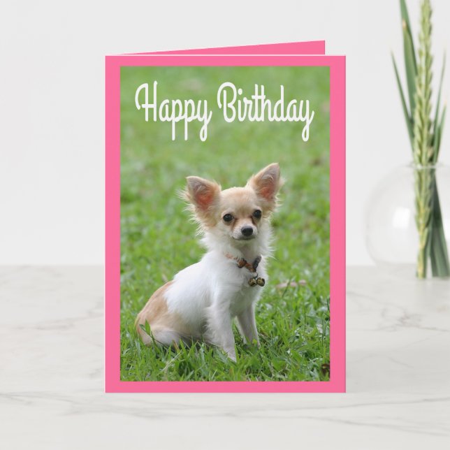Happy Birthday Chihuahua Puppy Pink Grußkarte Karte (Vorderseite)