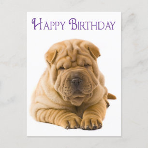 Happy Birthday Chinese Shar Pei Puppy Dog Card Postkarte