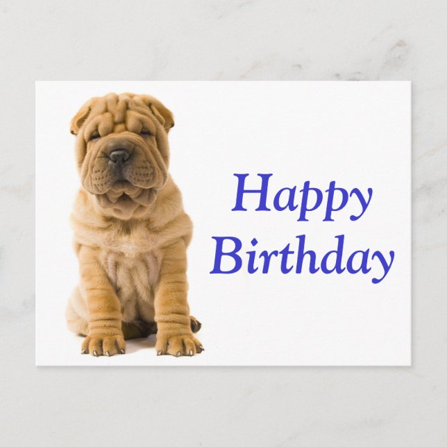 Happy Birthday Chinese Shar Pei Puppy Dog Card Postkarte (Vorderseite)