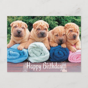 Happy Birthday Chinese Shar Pei Puppy Dog Postkart Postkarte