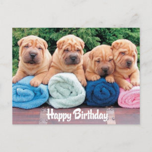 Happy Birthday Chinese Shar Pei Puppy Dog Postkart Postkarte