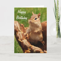 Happy Birthday Chipmunk Baseball spielen