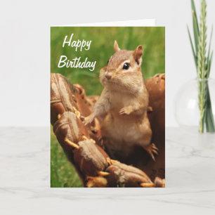 Happy Birthday Chipmunk Baseball spielen Karte