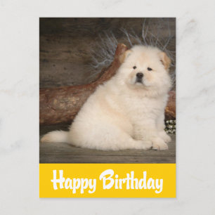 Happy Birthday Chow Chow Welpe Hund Gelbe Postkart Postkarte