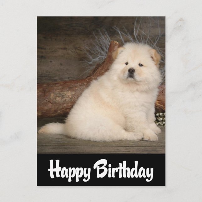 Happy Birthday Chow Chow Welpe Hund schwarze Postk Postkarte (Vorderseite)
