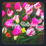 Happy Birthday Christmas Dream and Affaire #1-1 Quadratischer Aufkleber<br><div class="desc">Tulips Christmas Dream und Affaire #1</div>