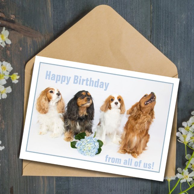 Happy Birthday Co-Worker Cavalier King Charles Dog Karte (Von Creator hochgeladen)