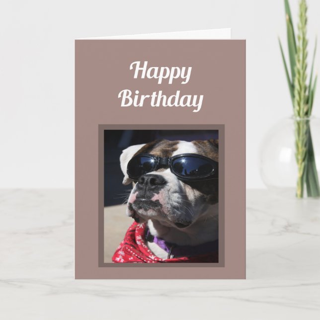 Happy Birthday Cool Typ Fun Boxer Dog Gruß Karte (Vorderseite)