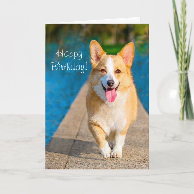 Happy Birthday Corgi Dog Karte (Vorderseite)