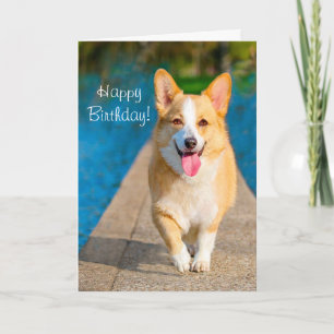 Happy Birthday Corgi Dog Karte