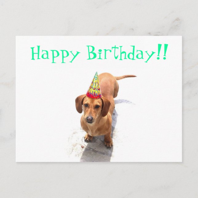 Happy Birthday Dackel Postcard Postkarte (Vorderseite)