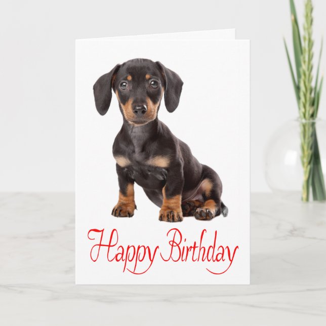 Happy Birthday Dackel Puppy Dog Card Karte (Vorderseite)