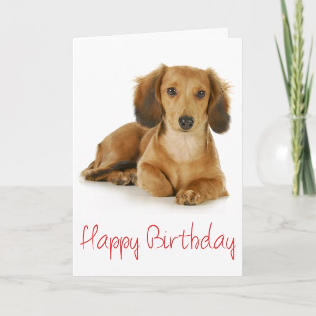 Happy Birthday Dackel Puppy Dog Card Karte (Vorderseite)