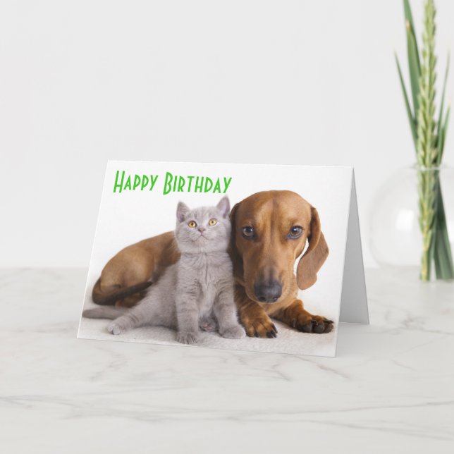Happy Birthday Dackel Puppy Dog Card Karte (Vorderseite)