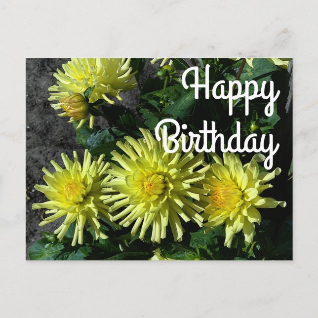 Happy Birthday Dahlia Lakeview Glow #1 Postkarte (Vorderseite)